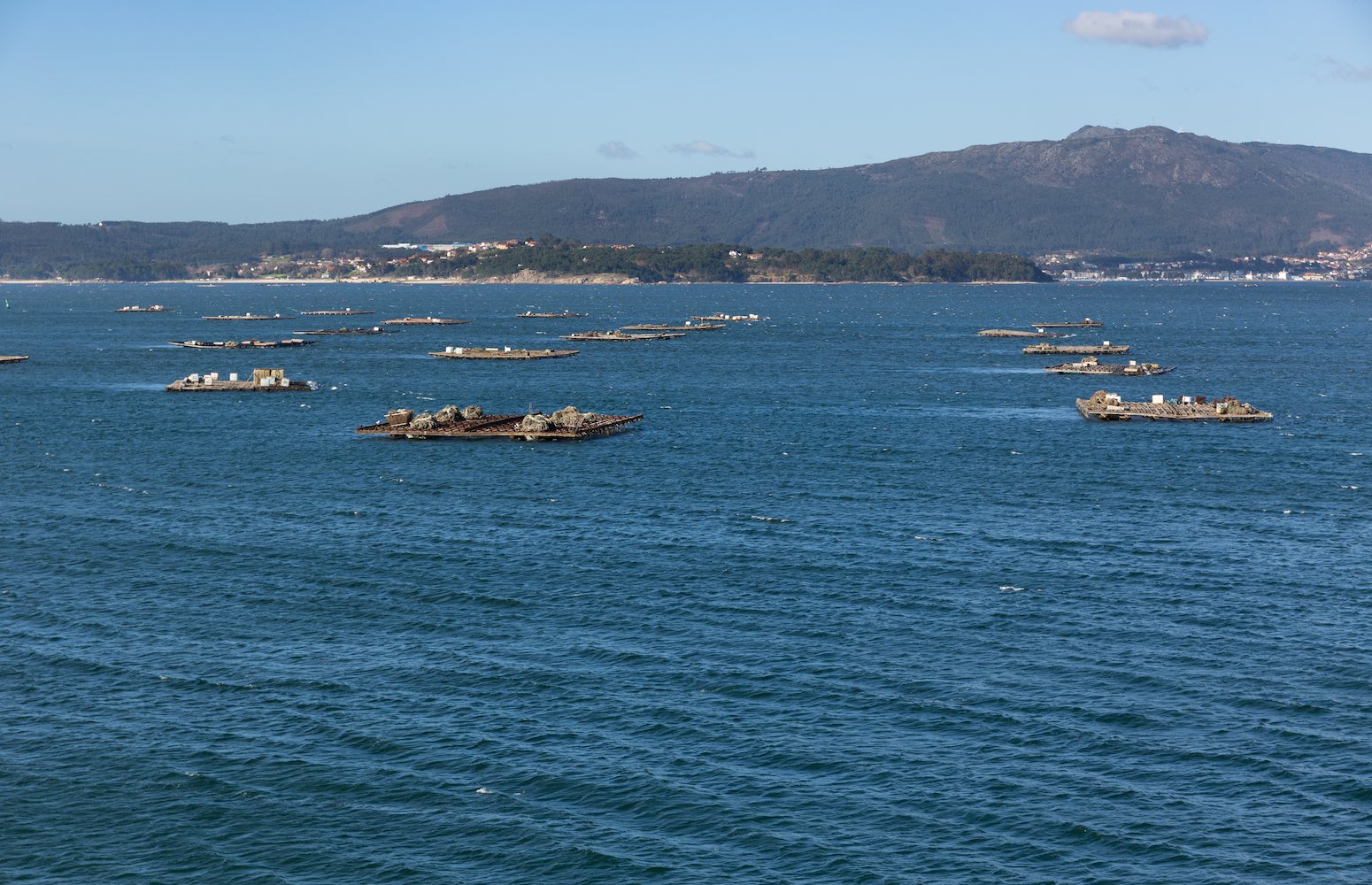 ria de arousa Galicia 